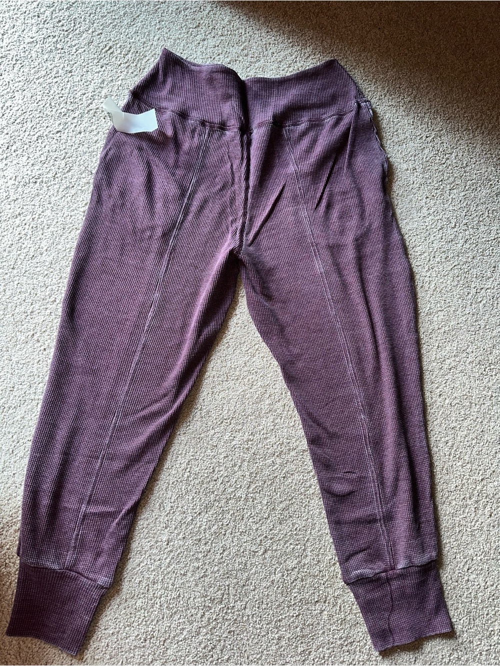 NWT Ladies MonoB Ribbed Knit Jogger Pants - Plum & Black